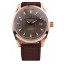 Omega Swiss Seamaster Railmaster Brown Strap Brown Striped Dial